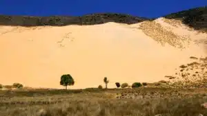 Cerro Huancar: El paraíso de arena y sandboard en la Puna