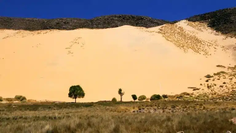 Cerro Huancar: El paraíso de arena y sandboard en la Puna